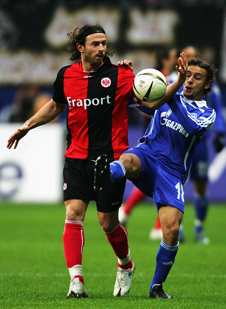 更体现了希 更体现了希